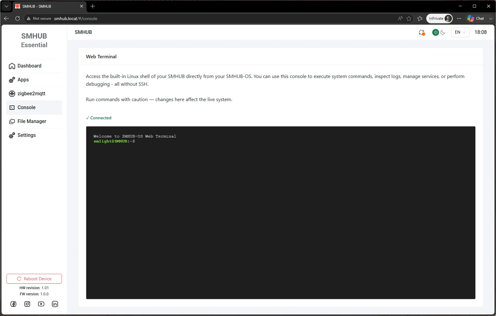 The web terminal — a Linux shell, no SSH
